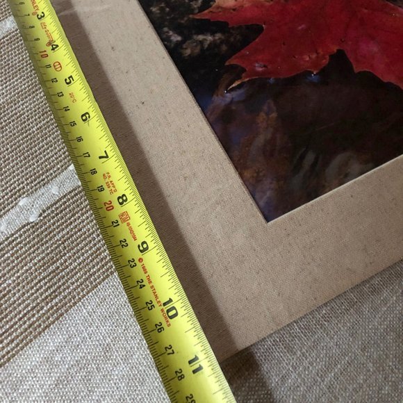 8x10 Red Maple Leaf Fine Art Photograph with Textured Mat - Picture 3 of 5